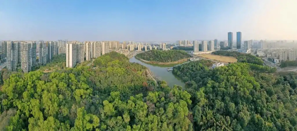 “三进三同”携手共进,江门站助力区县监测见成效